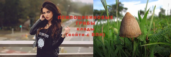 МДМА Дмитровск