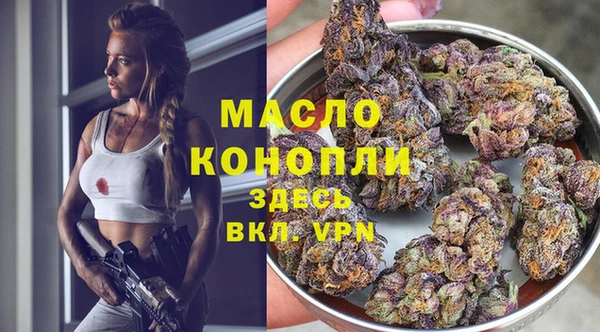 спайс Дмитриев