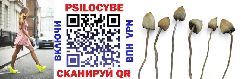 где можно купить наркотик Чистополь Галлюциногенные грибы MAGIC MUSHROOMS